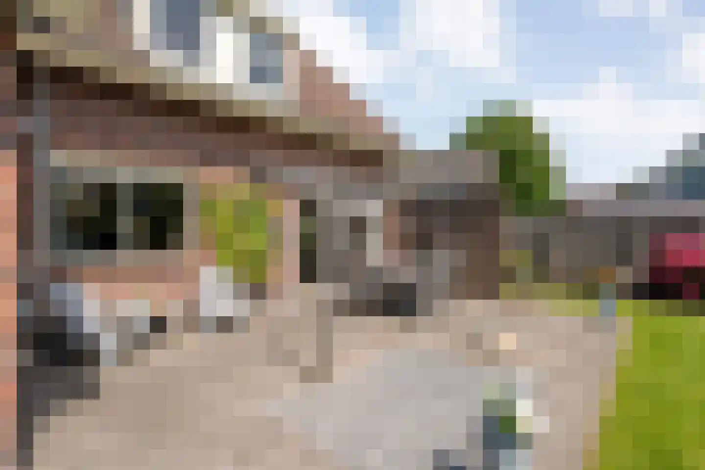Schoolstraat-Oudleusen 34 Dalfsen thumbnail 52