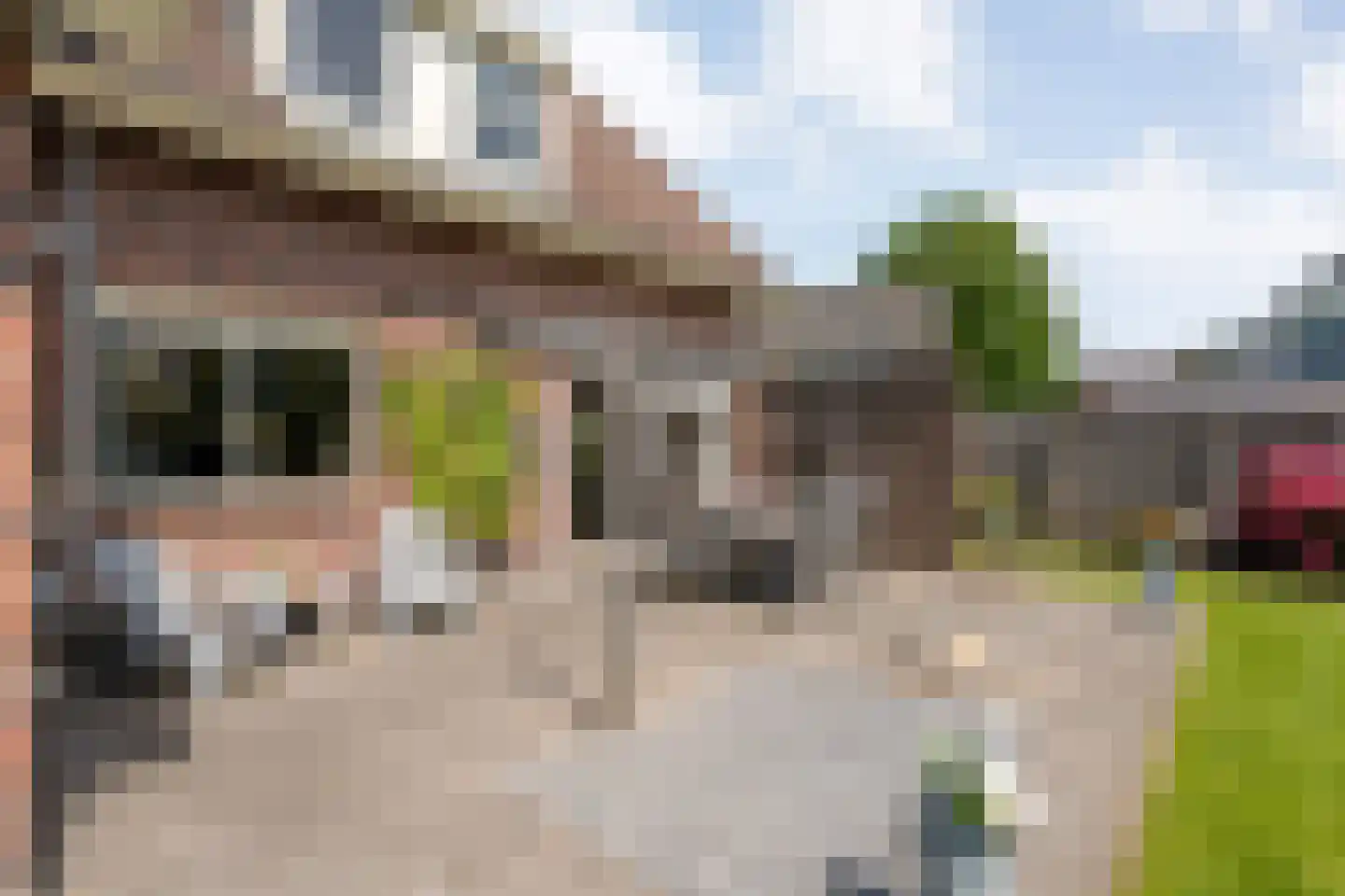 Schoolstraat-Oudleusen 34 Dalfsen thumbnail 52