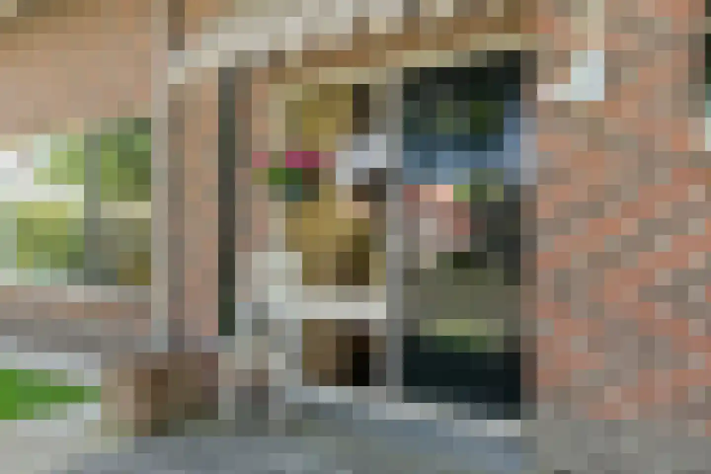 Schoolstraat-Oudleusen 34 Dalfsen thumbnail 6