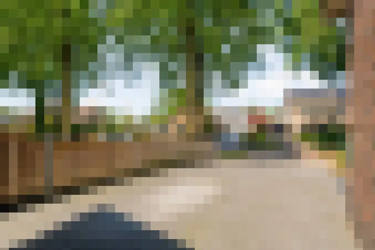 Schoolstraat-Oudleusen 34 Dalfsen thumbnail 64
