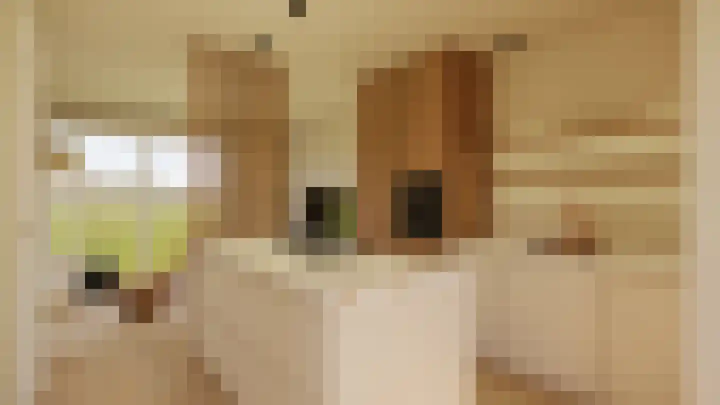 Schoolstraat Overdinkel thumbnail 6