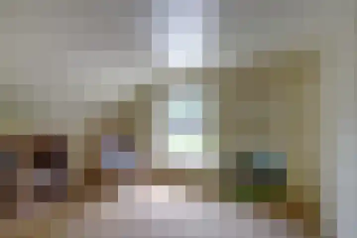 Schoolstraatje 2 Velp thumbnail 21