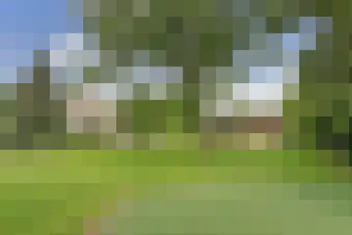 Schoolstraatje 2 Velp thumbnail 44