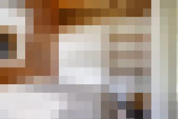 Schoolstraatje 2 Velp thumbnail 63