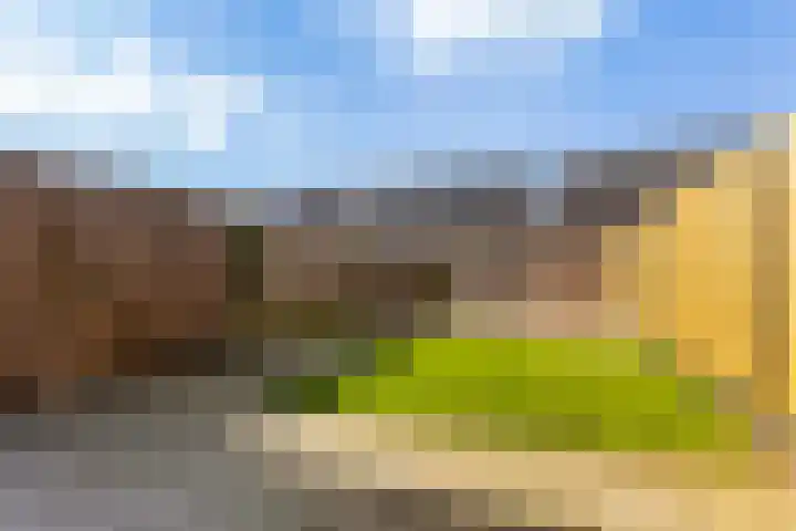 Schoolstraatje 2 Velp thumbnail 65
