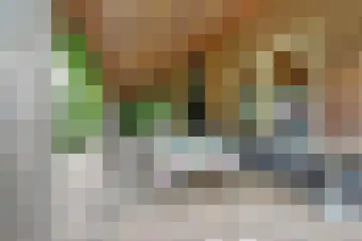 Schoolstraatje 2 Velp thumbnail 66