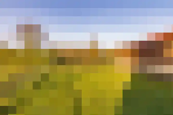 Schoolstraatje 2 Velp thumbnail 67