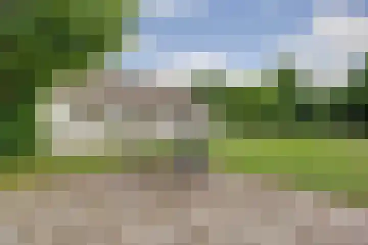 Schoolstraatje 2 Velp thumbnail 68
