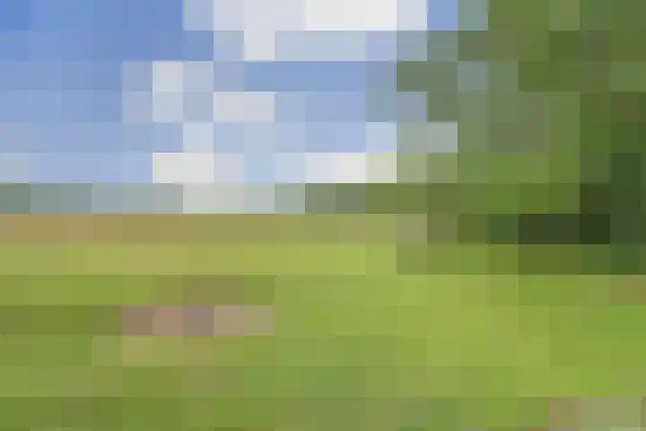 Schoolstraatje 2 Velp thumbnail 69