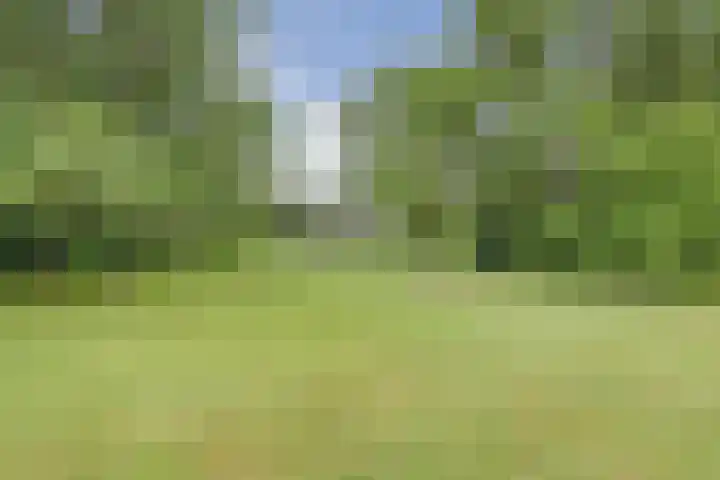 Schoolstraatje 2 Velp thumbnail 70