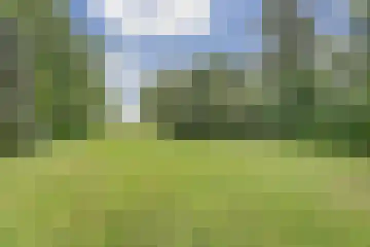 Schoolstraatje 2 Velp thumbnail 71