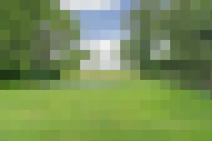 Schoolstraatje 2 Velp thumbnail 72