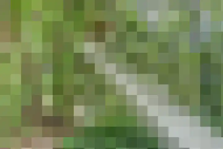 Schoolstraatje 2 Velp thumbnail 73