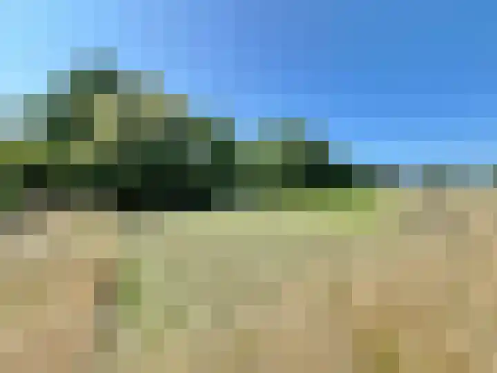 Schoolstraatje 2 Velp thumbnail 75