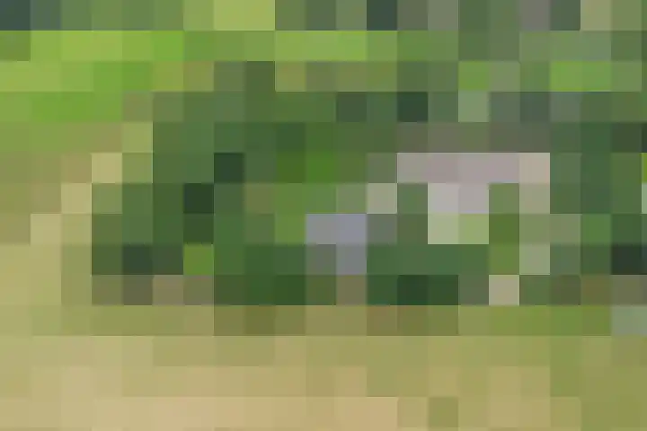 Schoolstraatje 2 Velp thumbnail 85
