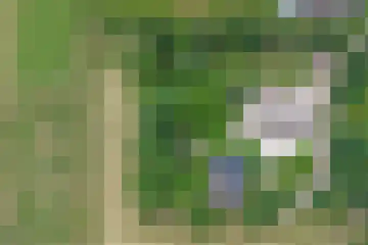Schoolstraatje 2 Velp thumbnail 86