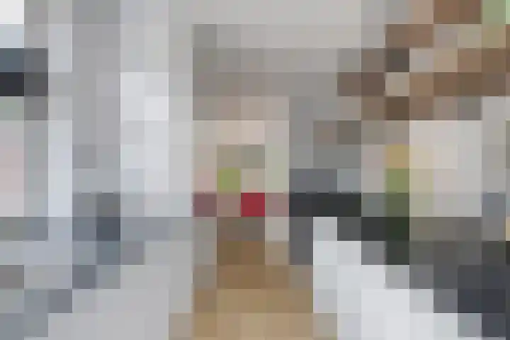 Schooltuinen 18 Gouda thumbnail 10
