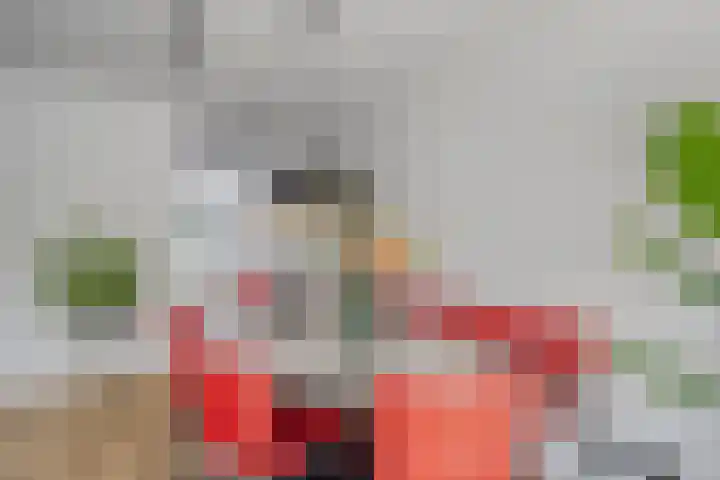Schooltuinen 18 Gouda thumbnail 18