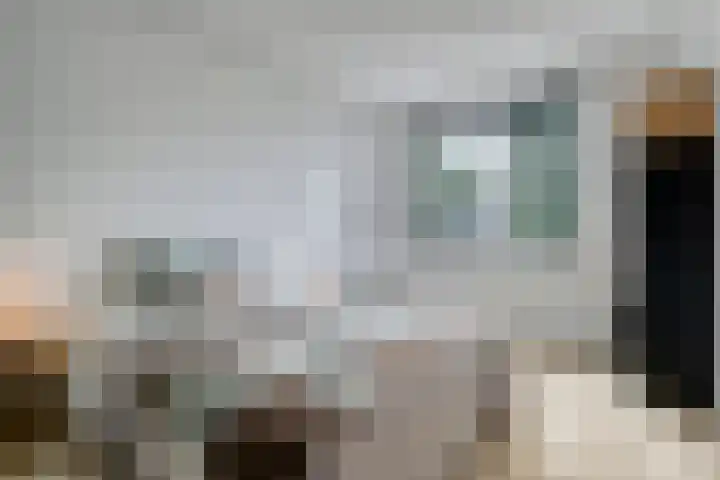 Schooltuinen 18 Gouda thumbnail 26