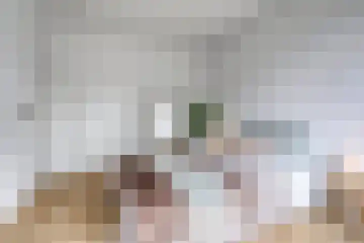 Schooltuinen 18 Gouda thumbnail 27