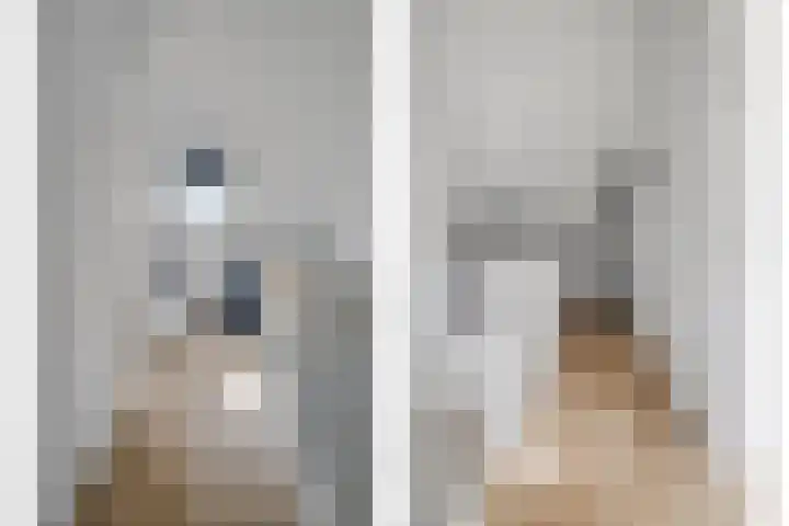 Schooltuinen 18 Gouda thumbnail 30