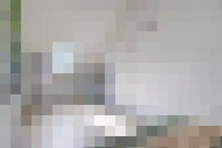 Schooltuinen 18 Gouda thumbnail 32