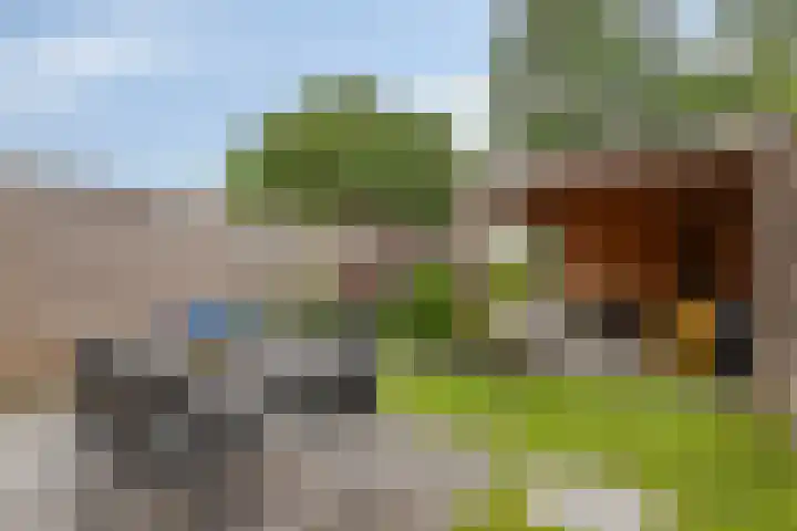 Schooltuinen 18 Gouda thumbnail 35