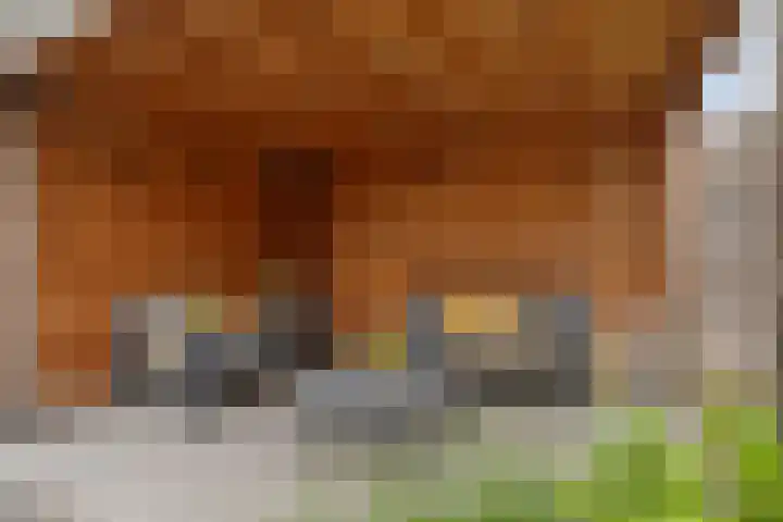 Schooltuinen 18 Gouda thumbnail 36