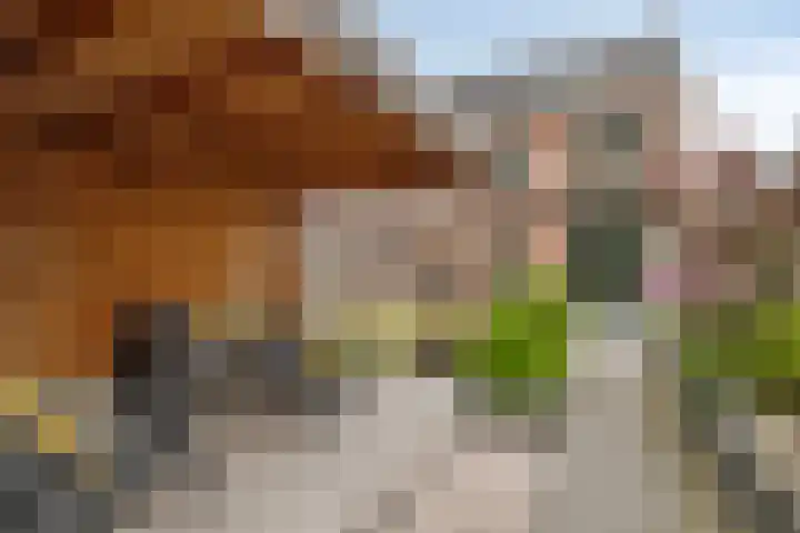 Schooltuinen 18 Gouda thumbnail 37