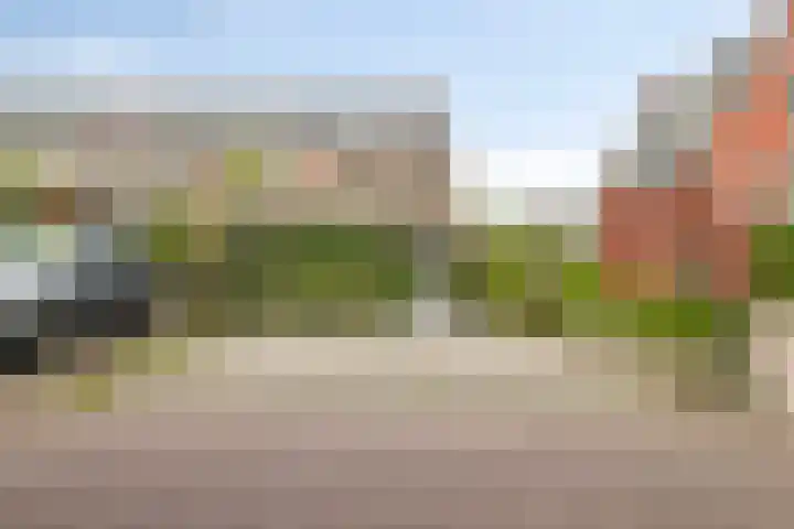 Schooltuinen 18 Gouda thumbnail 39