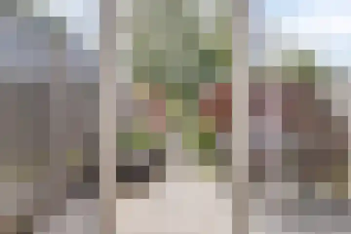Schooltuinen 18 Gouda thumbnail 4