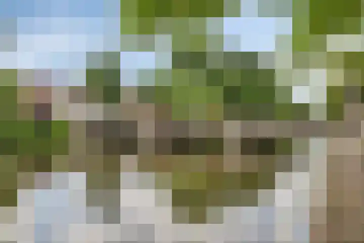 Schooltuinen 18 Gouda thumbnail 40