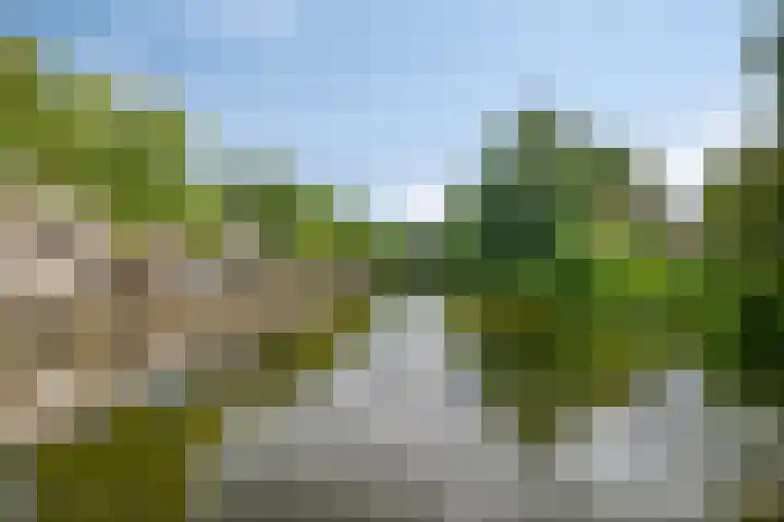 Schooltuinen 18 Gouda thumbnail 41