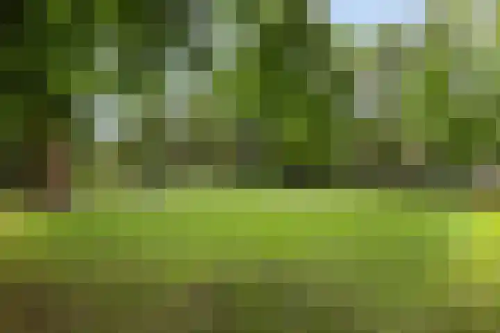 Schooltuinen 18 Gouda thumbnail 42