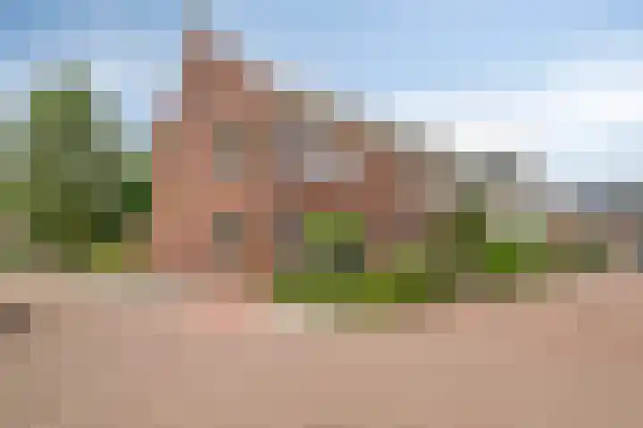 Schooltuinen 18 Gouda thumbnail 5
