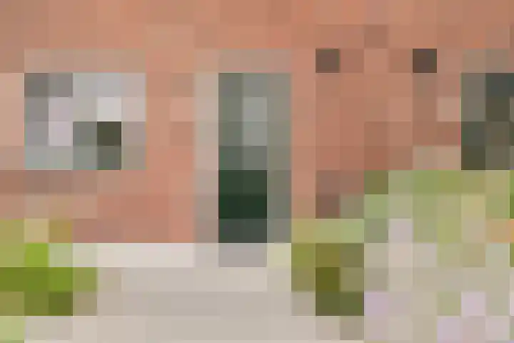Schooltuinen 18 Gouda thumbnail 6