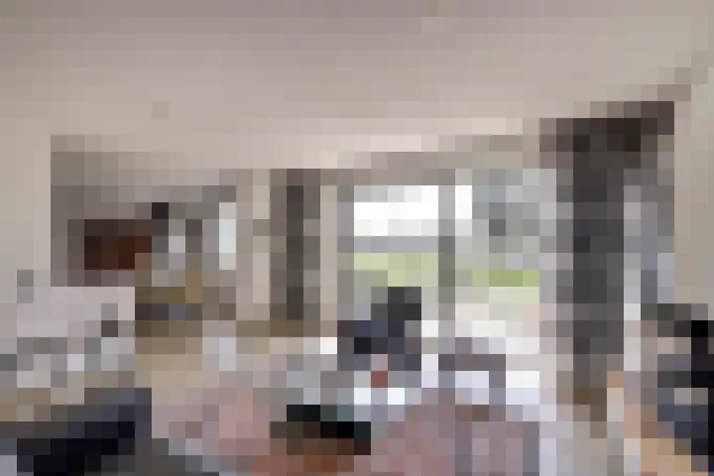 Schooltuinen 48 Gouda thumbnail 10