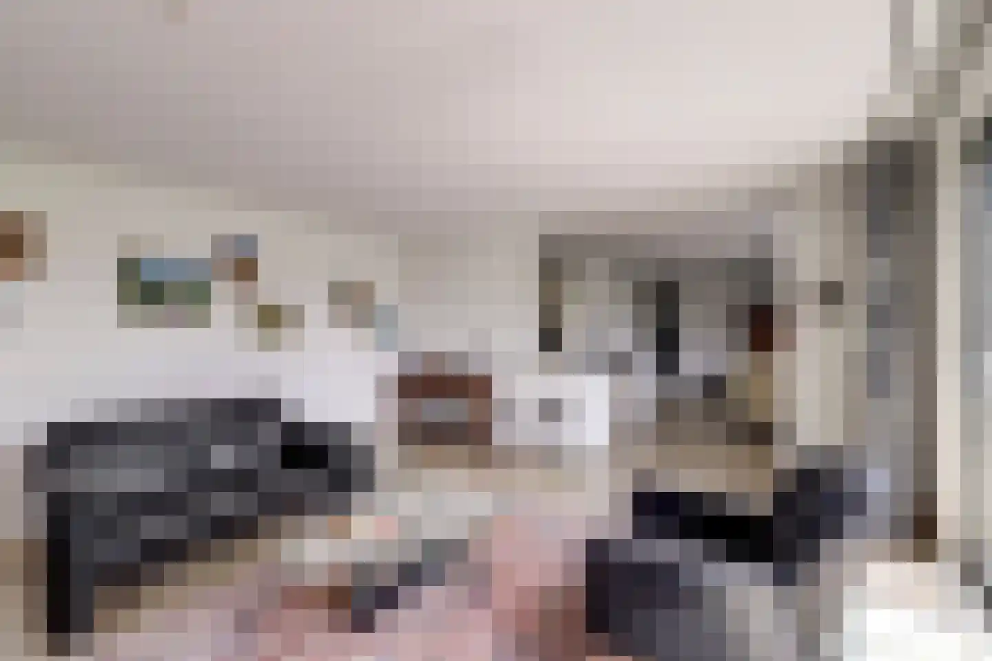 Schooltuinen 48 Gouda thumbnail 11