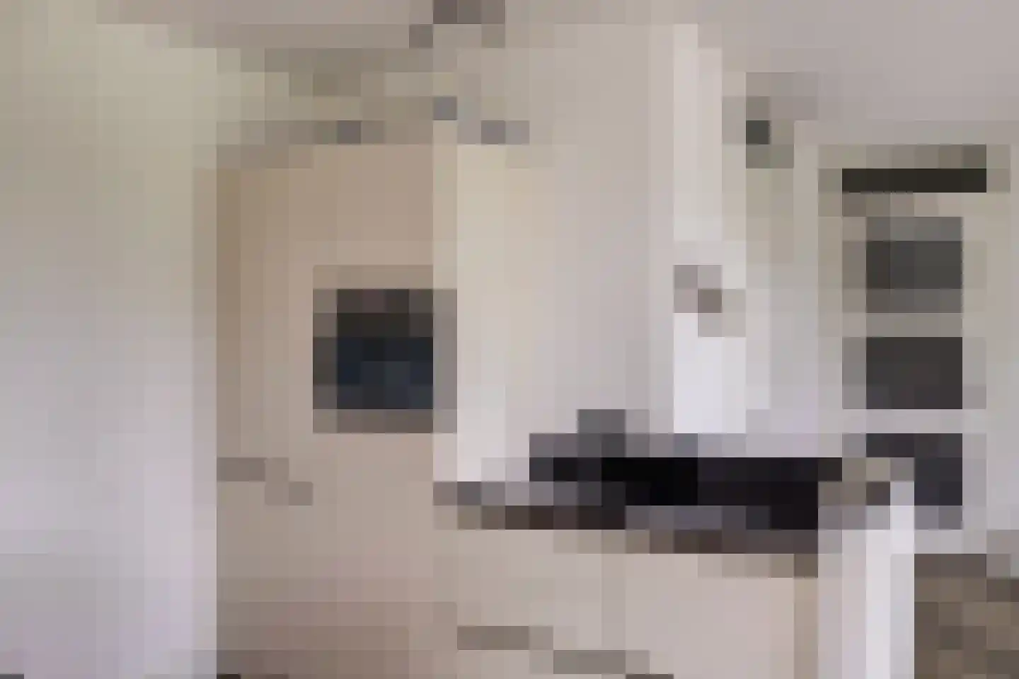 Schooltuinen 48 Gouda thumbnail 16
