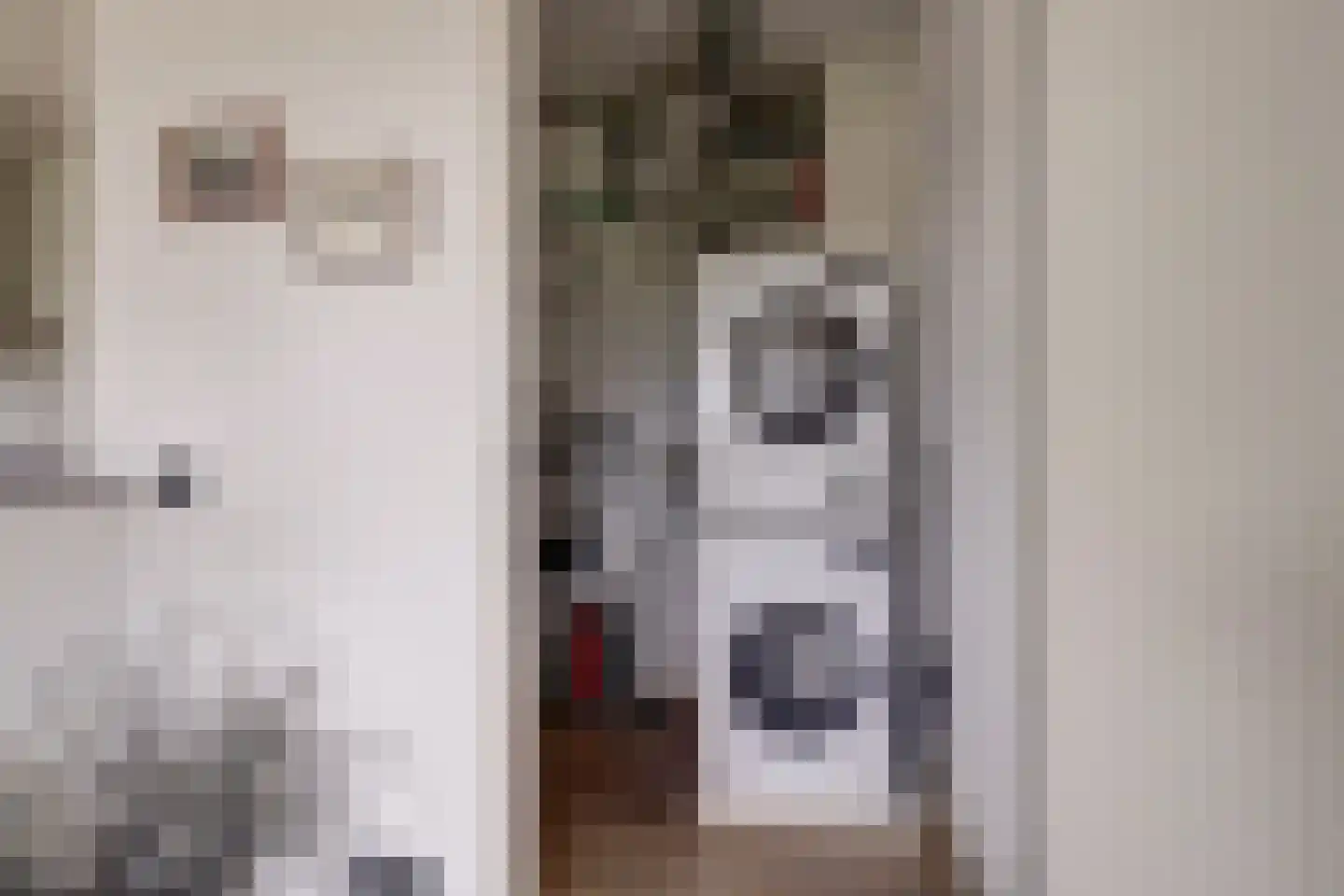 Schooltuinen 48 Gouda thumbnail 22