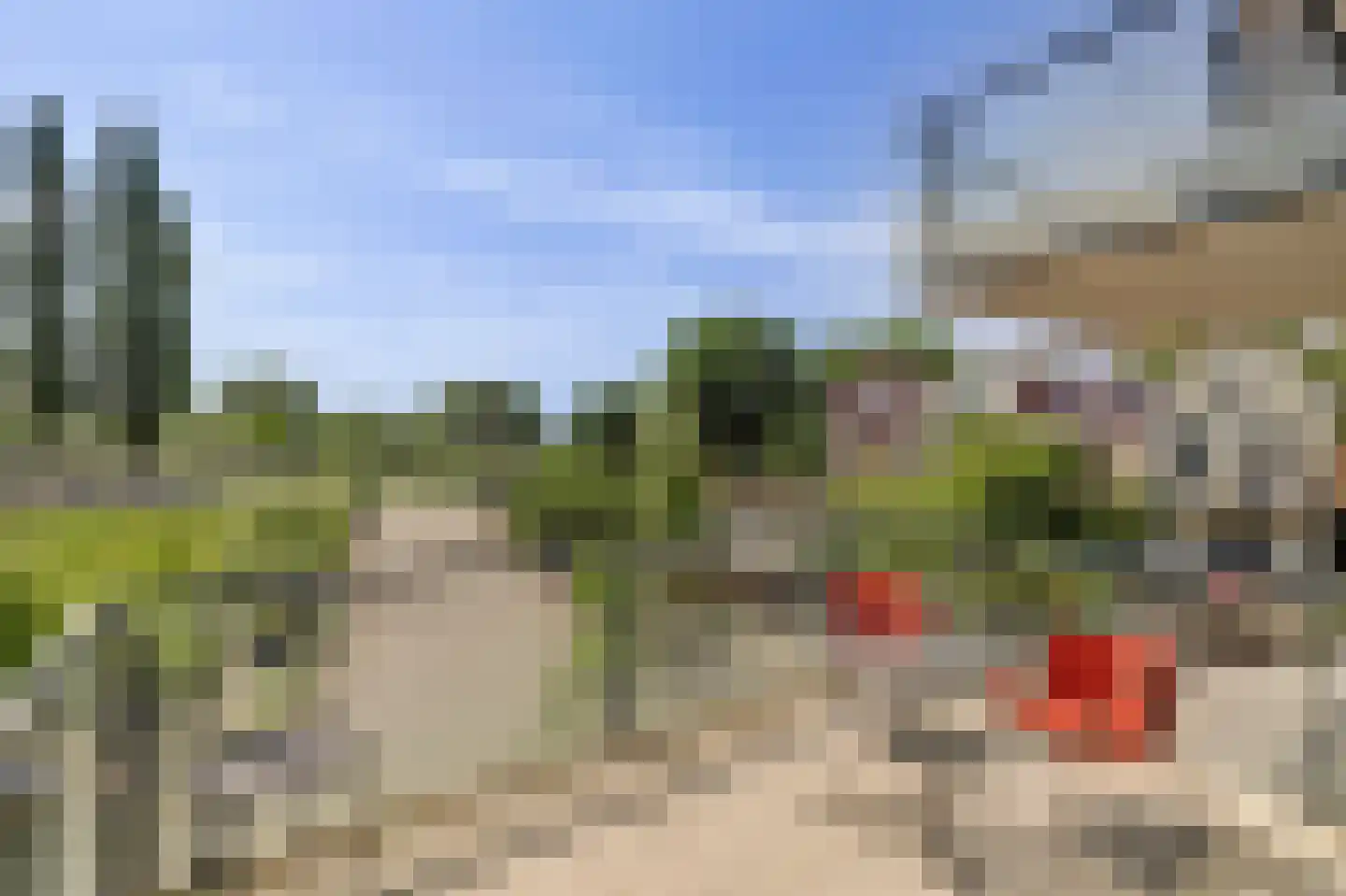 Schooltuinen 48 Gouda thumbnail 25