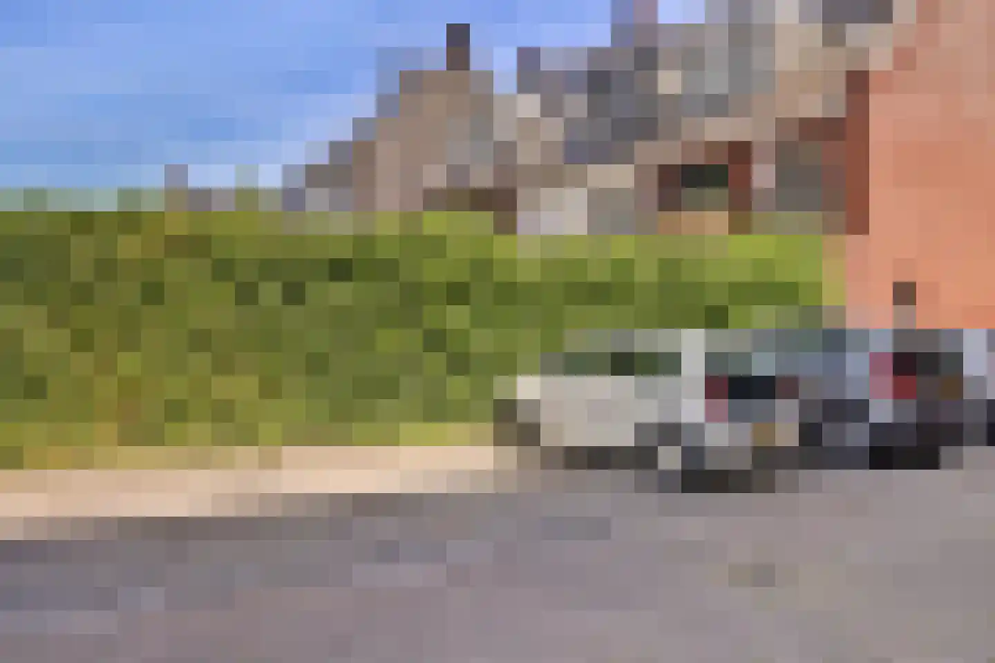 Schooltuinen 48 Gouda thumbnail 29