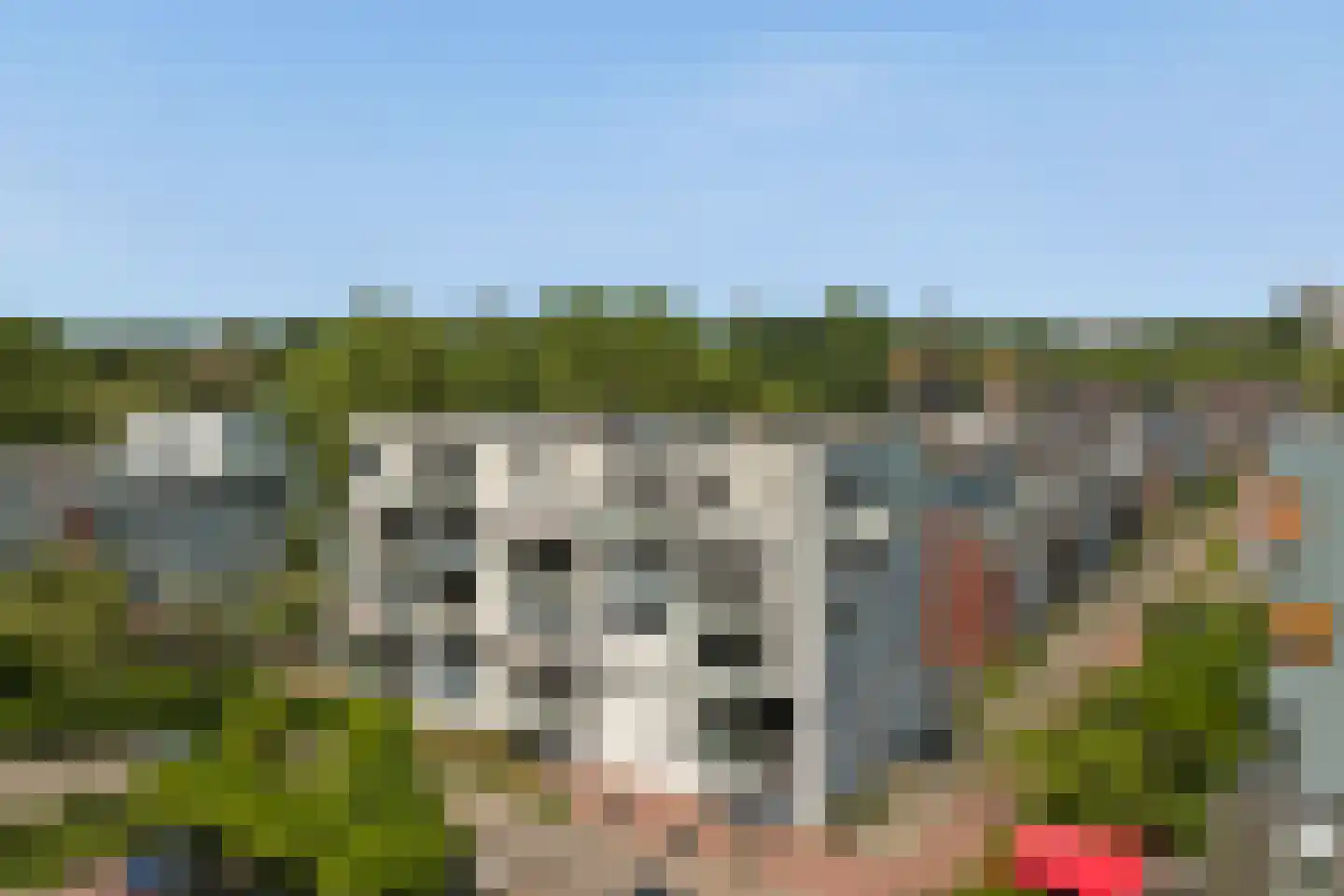 Schooltuinen 48 Gouda thumbnail 33