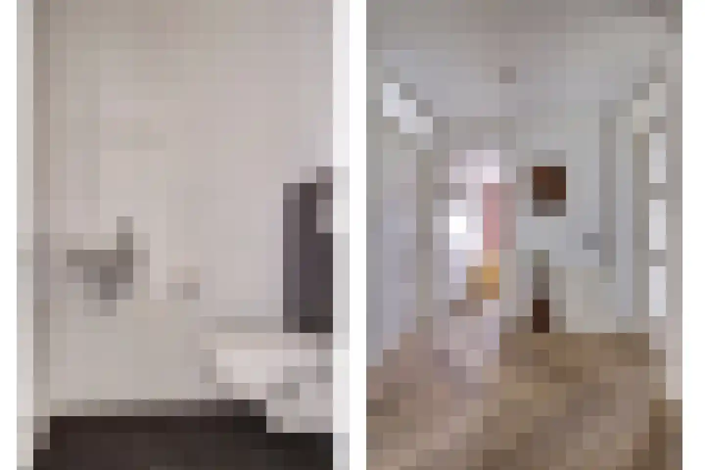 Schooltuinen 48 Gouda thumbnail 8