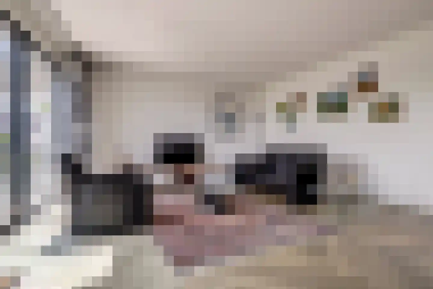 Schooltuinen 48 Gouda thumbnail 9