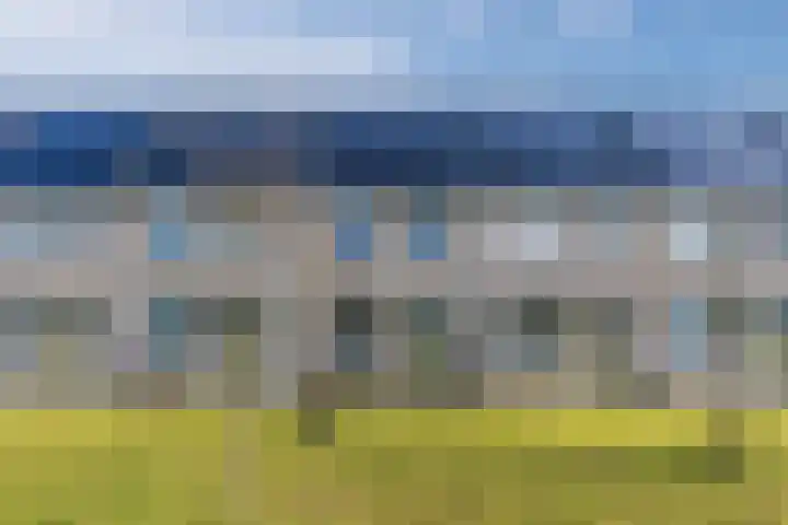 Schoolven 12 en Zaandam