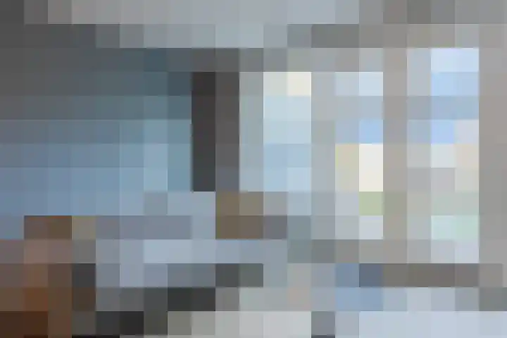 Schoolven 12 Zaandam thumbnail 11