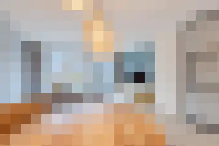 Schoolven 12 Zaandam thumbnail 13