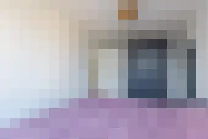 Schoolven 12 Zaandam thumbnail 19
