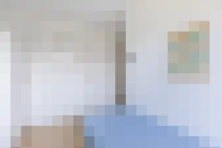 Schoolven 12 Zaandam thumbnail 21